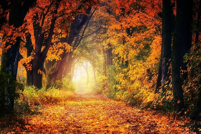 Pixabay